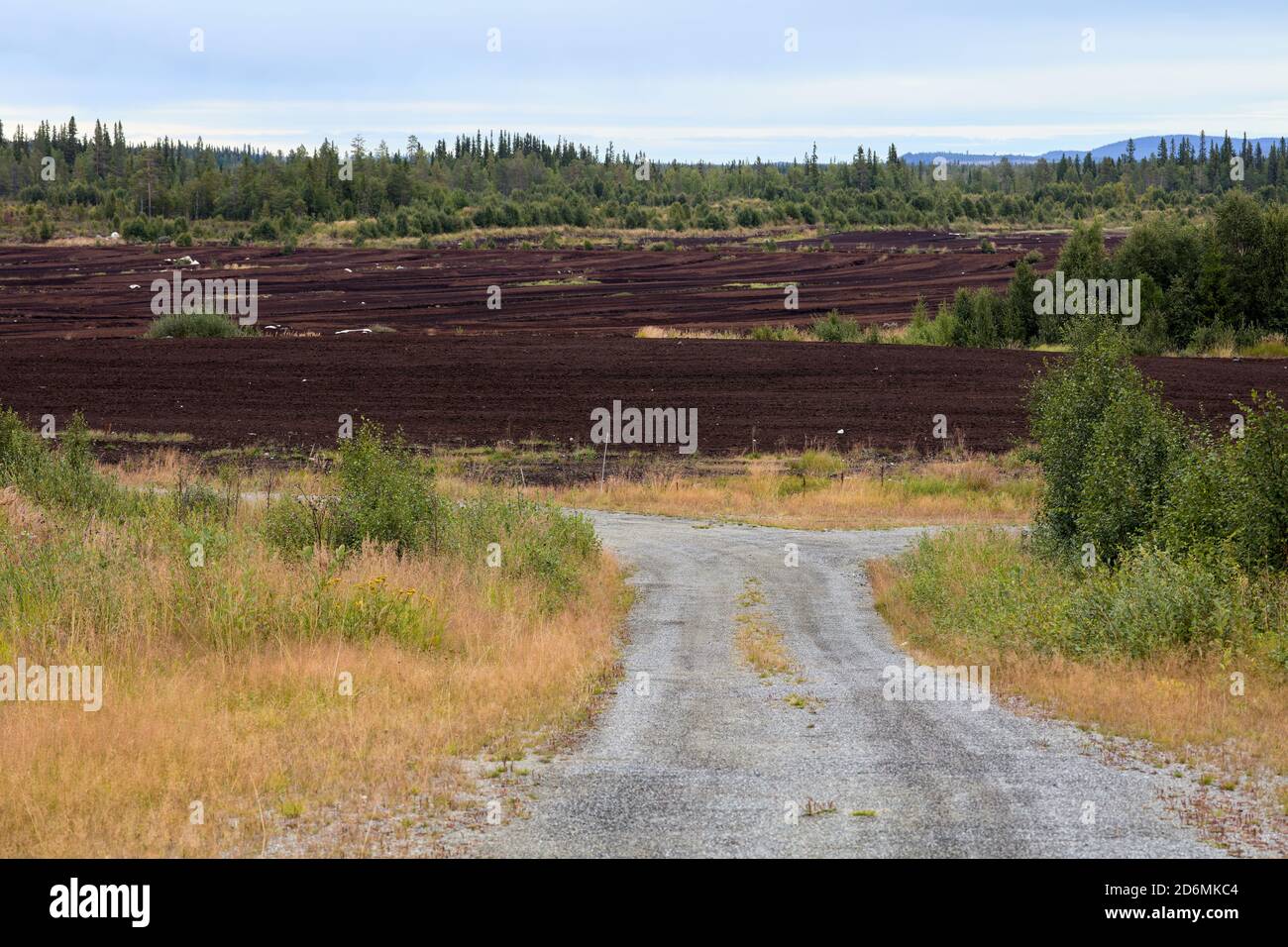 Algún tipo de tierra argricultural a lo largo de la E45 cerca de Skarvsjöby in Norte de Suecia Foto de stock