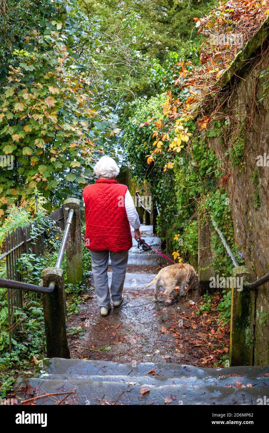 Pensionista de edad avanzada, ciudadano de edad avanzada, perro de paseo en el Pasos radicales en Kirkby Lonsdale Inglaterra Reino Unido Foto de stock