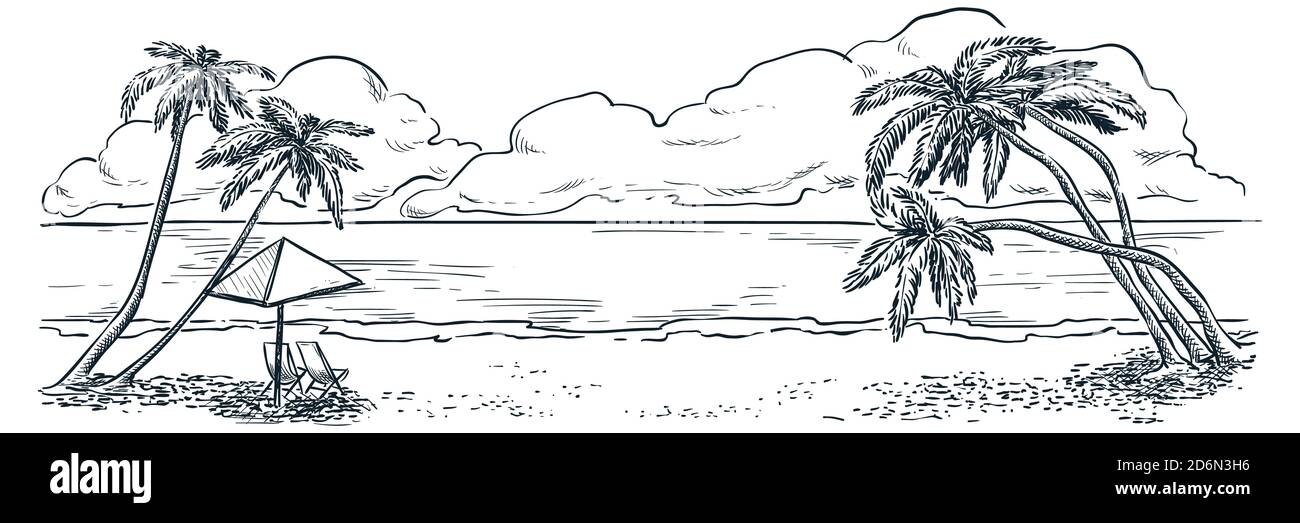 Palmeras en la playa del océano, vector dibujado a mano dibujo paisaje  ilustración. Vacaciones de verano, fondo tropical vintage. Vista de la  naturaleza junto al mar Imagen Vector de stock - Alamy