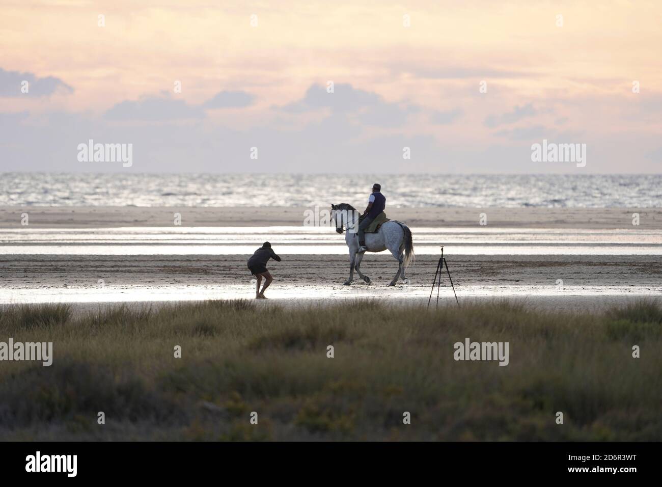 Fotógrafo y hombre a caballo en Playa de los Lances, playa cerca de tarifa, durante la puesta de sol, Cádiz, Costa de la Luz, Andalucía, España. Foto de stock