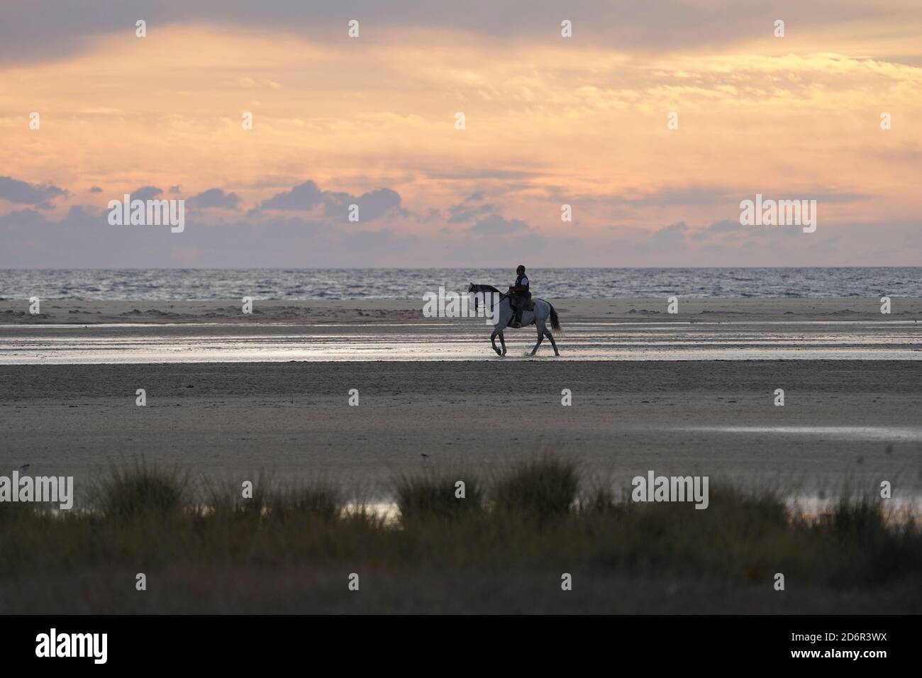 Un hombre a caballo en Playa de los Lances, playa cerca de tarifa, lagunas temporales durante la puesta de sol, Cádiz, Costa de la Luz, Andalucía, España. Foto de stock