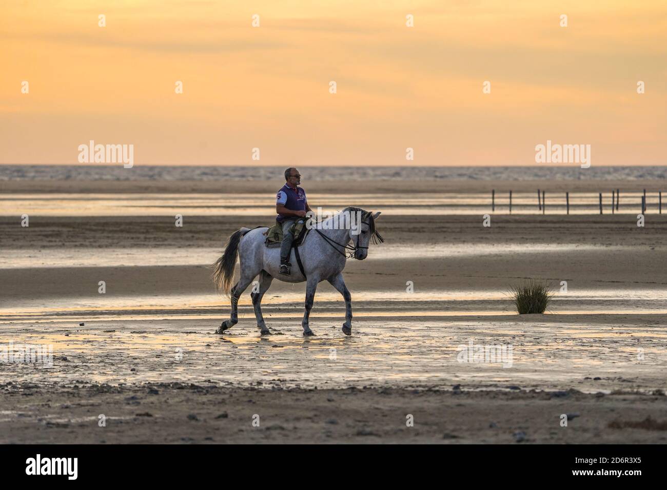 Un hombre a caballo en Playa de los Lances, playa cerca de tarifa, lagunas temporales durante la puesta de sol, Cádiz, Costa de la Luz, Andalucía, España. Foto de stock