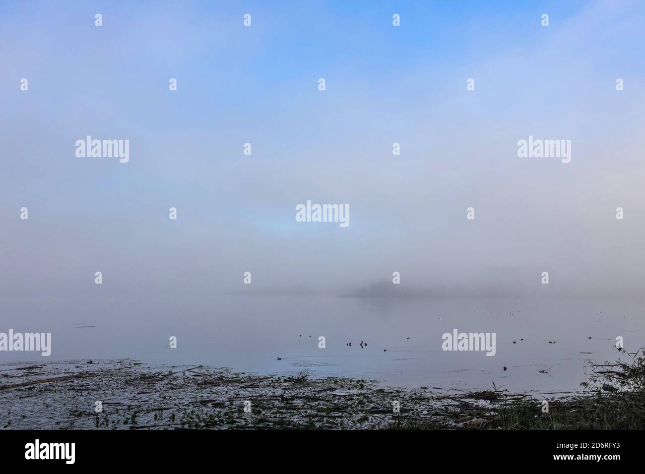 Cielo azul y orilla de niebla sobre el lago Chiemsee, Alemania, Baviera, Lago Chiemsee Foto de stock