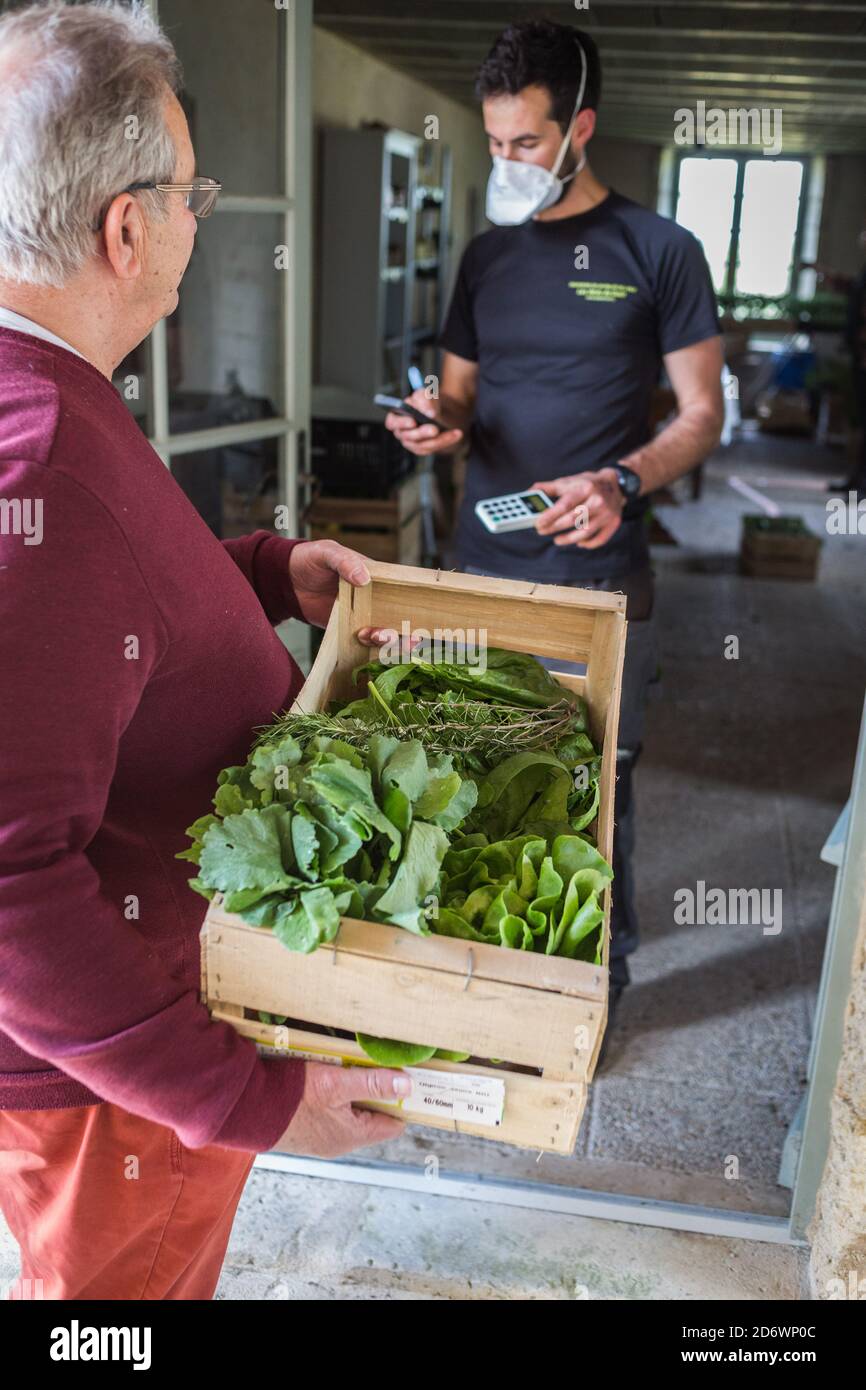 Venta de alimentos orgánicos en la granja durante la epidemia de 2019-nCoV, Dordoña, Francia. Foto de stock