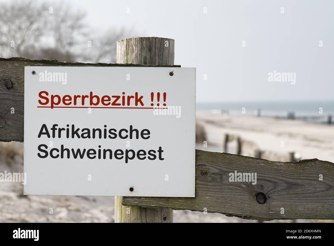 Firma con la inscripción 'Sperrbezirk Afrikanische Schweinepest' (Zona restringida a la peste porcina africana) En una valla a una granja en Alemania Foto de stock
