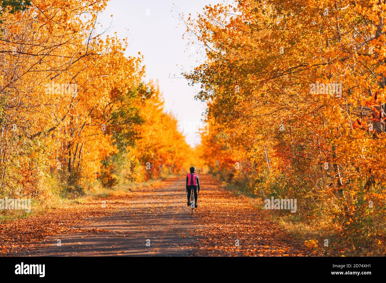 Bicicleta ciclista ciclismo en el bosque de otoño con un hermoso paisaje de hojas de otoño follaje rojo. Ciclismo en carretera Foto de stock