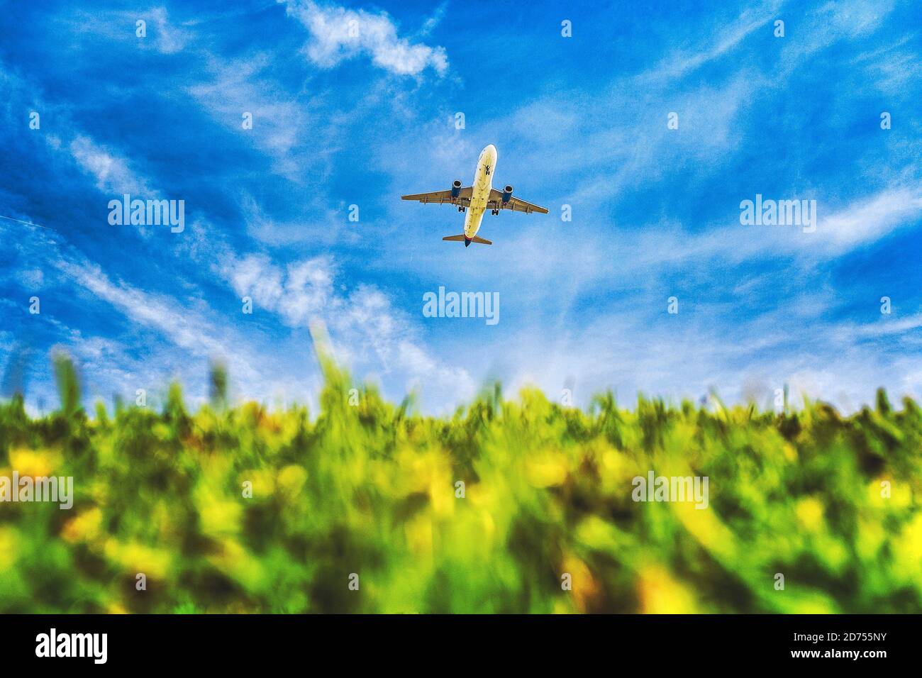 Un avión sobre hierba verde Foto de stock