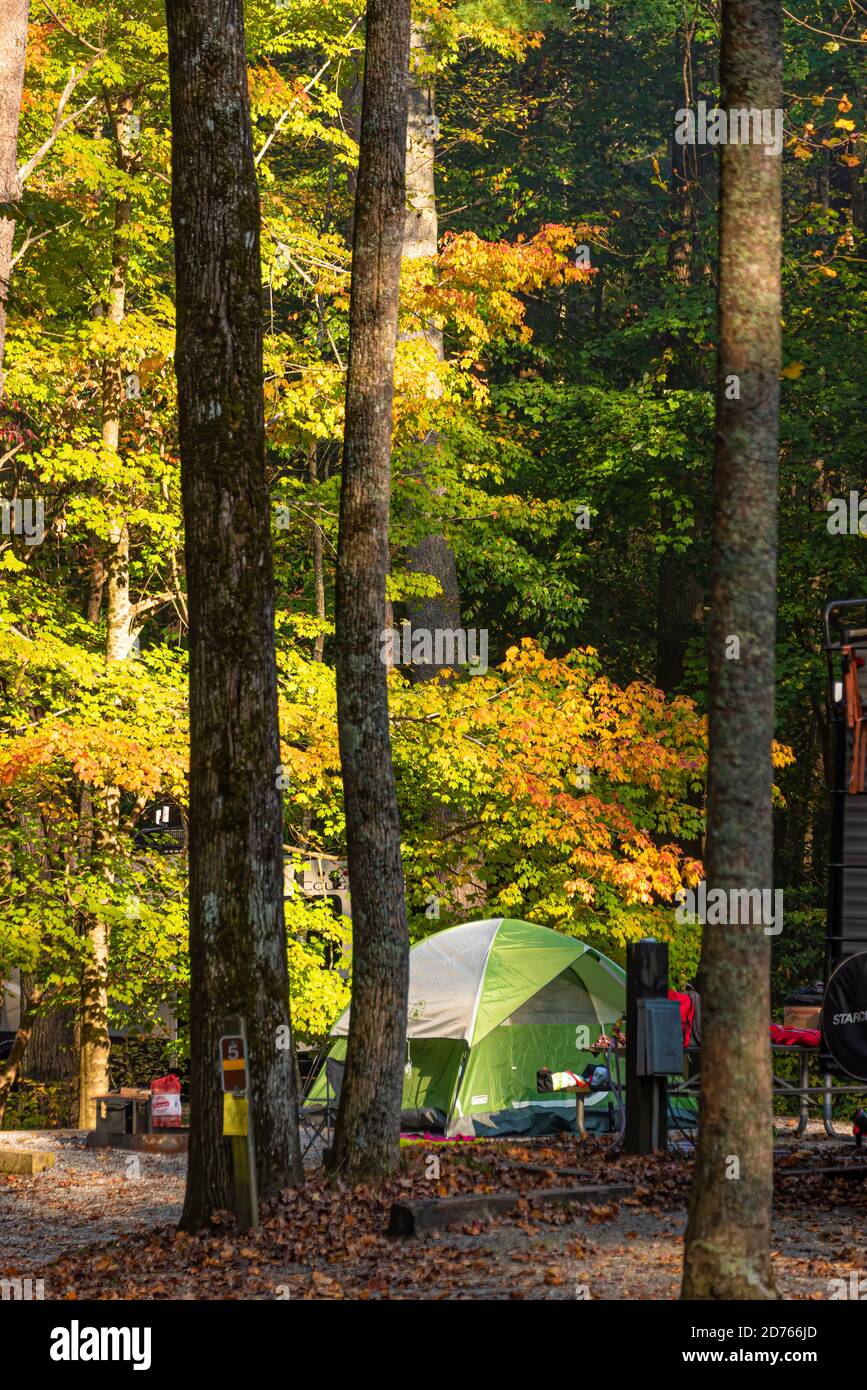 Los árboles de otoño iluminados por el sol se elevan sobre un camping en el Parque Estatal Vogel en las Montañas Blue Ridge cerca de Blairsville, Georgia. (EE.UU.) Foto de stock