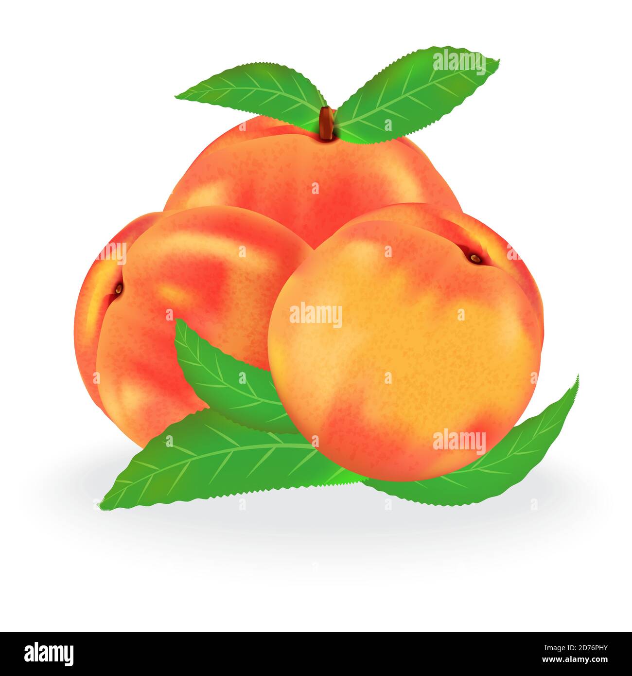 Grupo de duraznos con hojas aisladas sobre fondo blanco. Ilustración