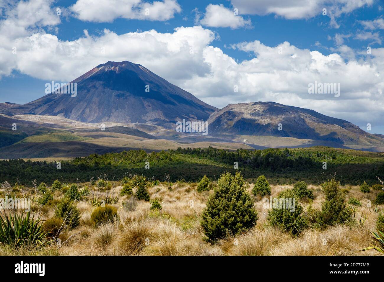 Monte Ngauruhoe, conocido como Monte Doom en el Señor de los Anillos de Peter Jackson, un estratovolcán en la Isla Norte, Nueva Zelanda. Foto de stock