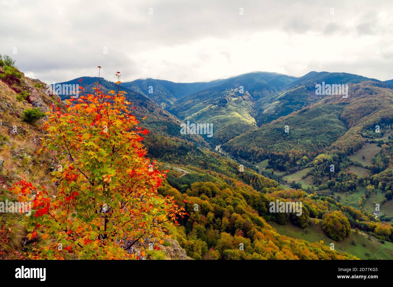 Paisaje de otoño en las montañas. Montaña otoño escena con árboles de colores en el bosque. Hay algunas casas y casas de campo en el prado Foto de stock