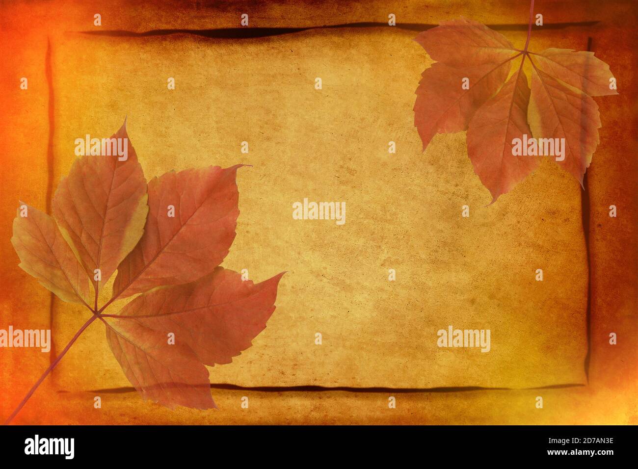 alamy