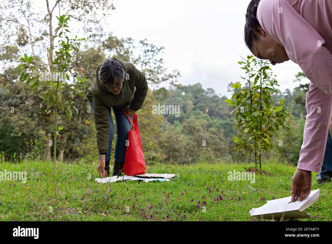 un par de mujeres recogiendo basura de un bosque y.. poniéndolo en una bolsa de tela Foto de stock