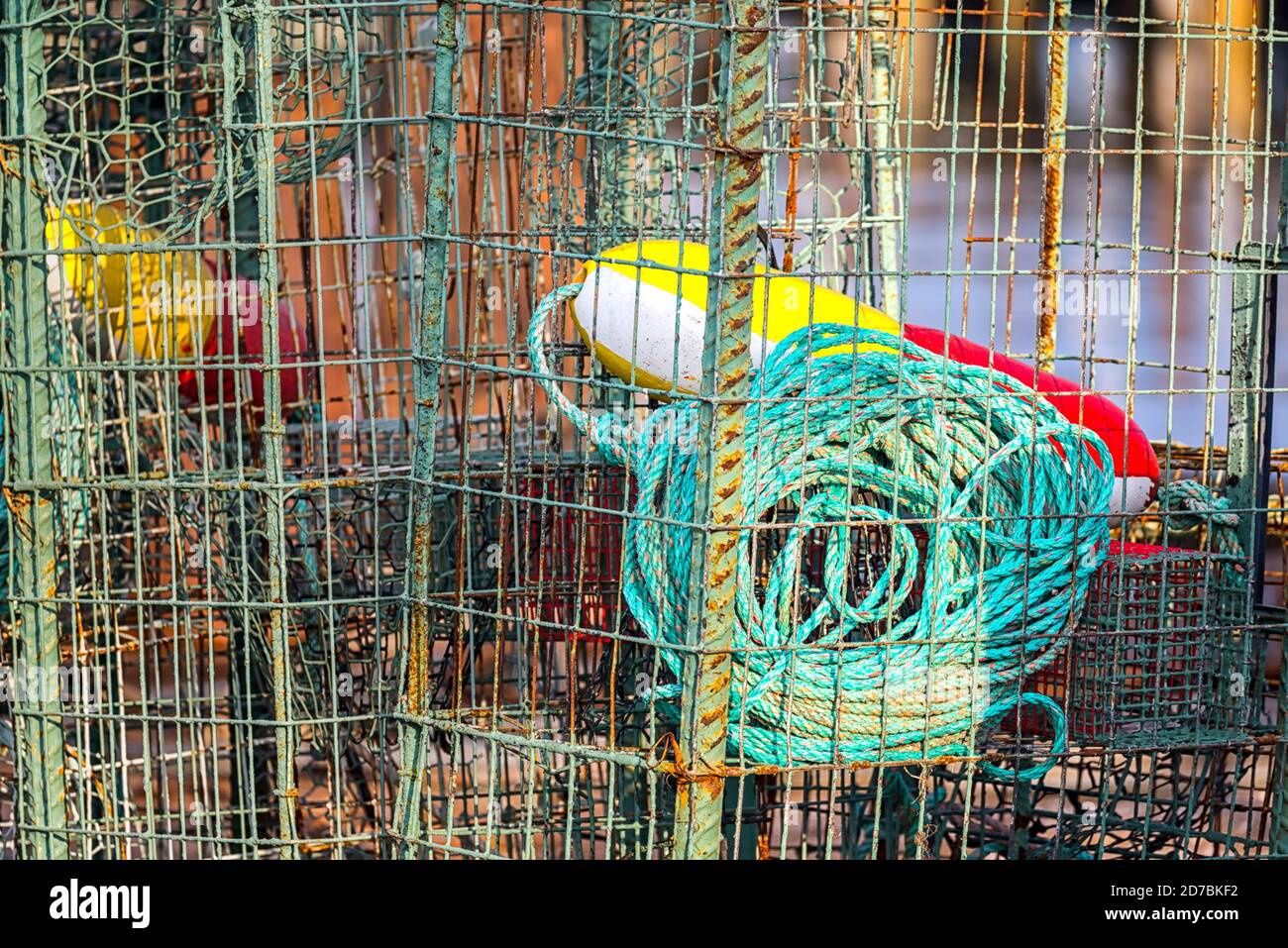 Equipo de pesca comercial. Primer plano de las trampas utilizadas para la captura de langosta o cangrejo. En San Diego Harbor en San Diego, CA, Estados Unidos. Foto de stock