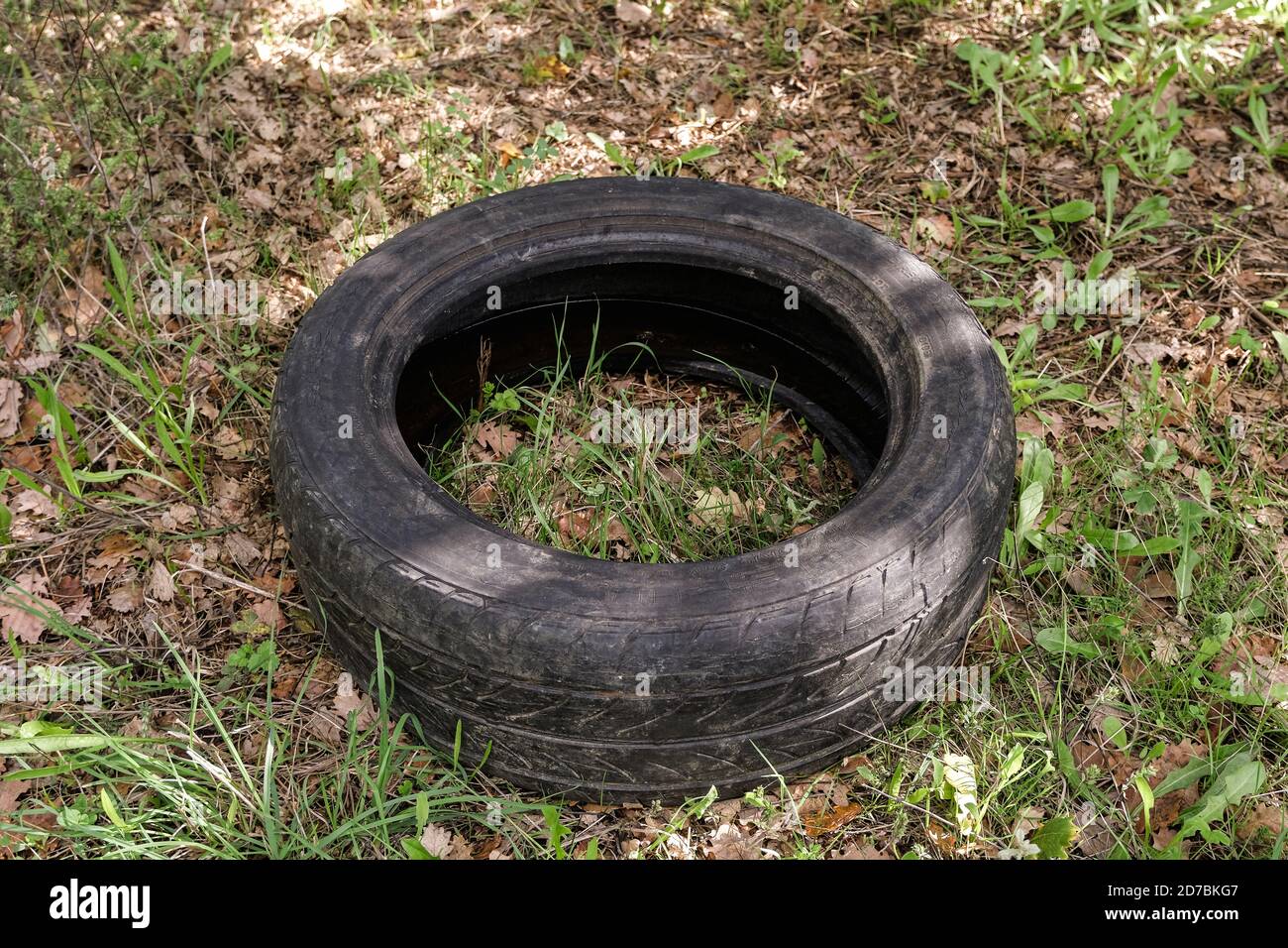 Viejo neumático de coche de caucho usado descartado en el ecosistema de bosque crudo, ambiental contaminación Foto de stock