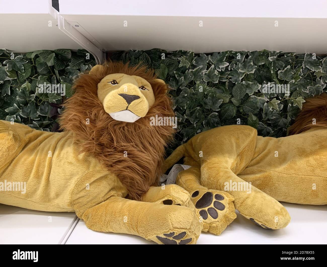 Dos juguetes de león rellenos en una estantería Foto de stock