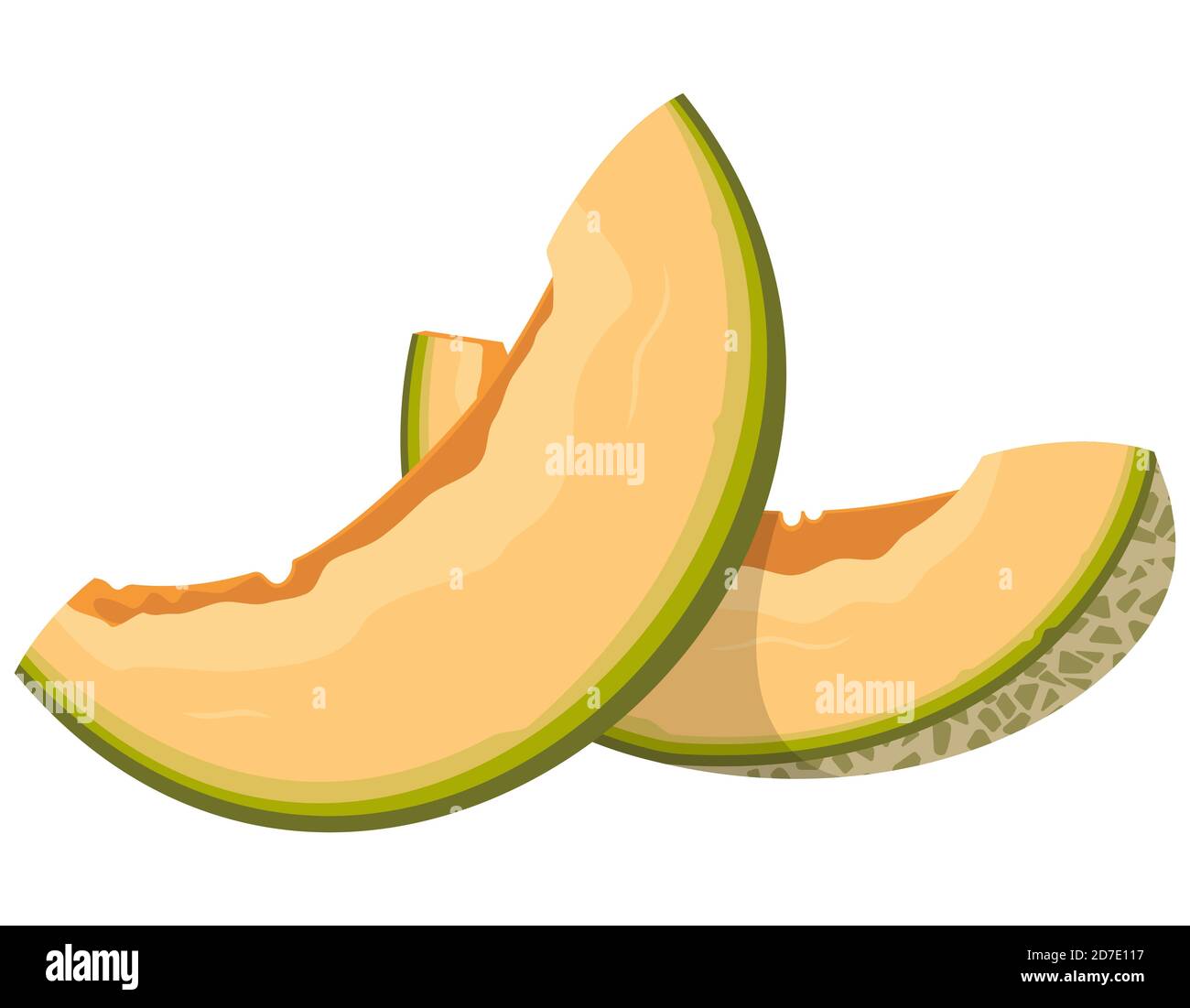 Rebanadas de melón. Fruta jugosa en estilo de dibujos animados Imagen