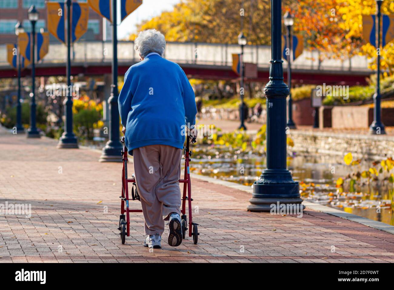 Una anciana mujer caucásica con suéter azul, pantalones de atletismo y  zapatillas de deporte está caminando lentamente en parques con un andador  de ruedas. Es un soleado día de otoño Fotografía de