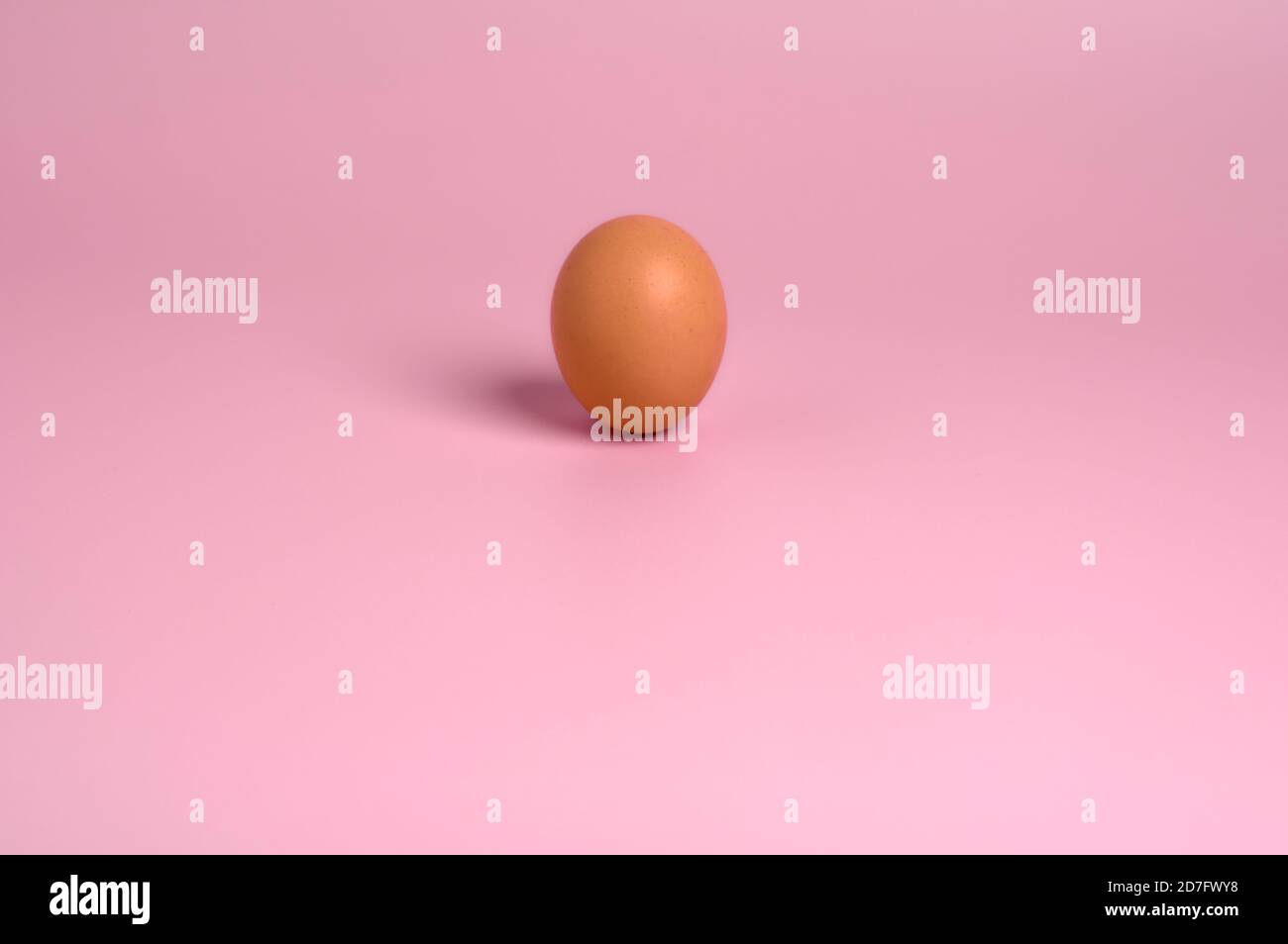 detalle de un huevo de gallina marrón sobre un rosa claro antecedentes Foto de stock