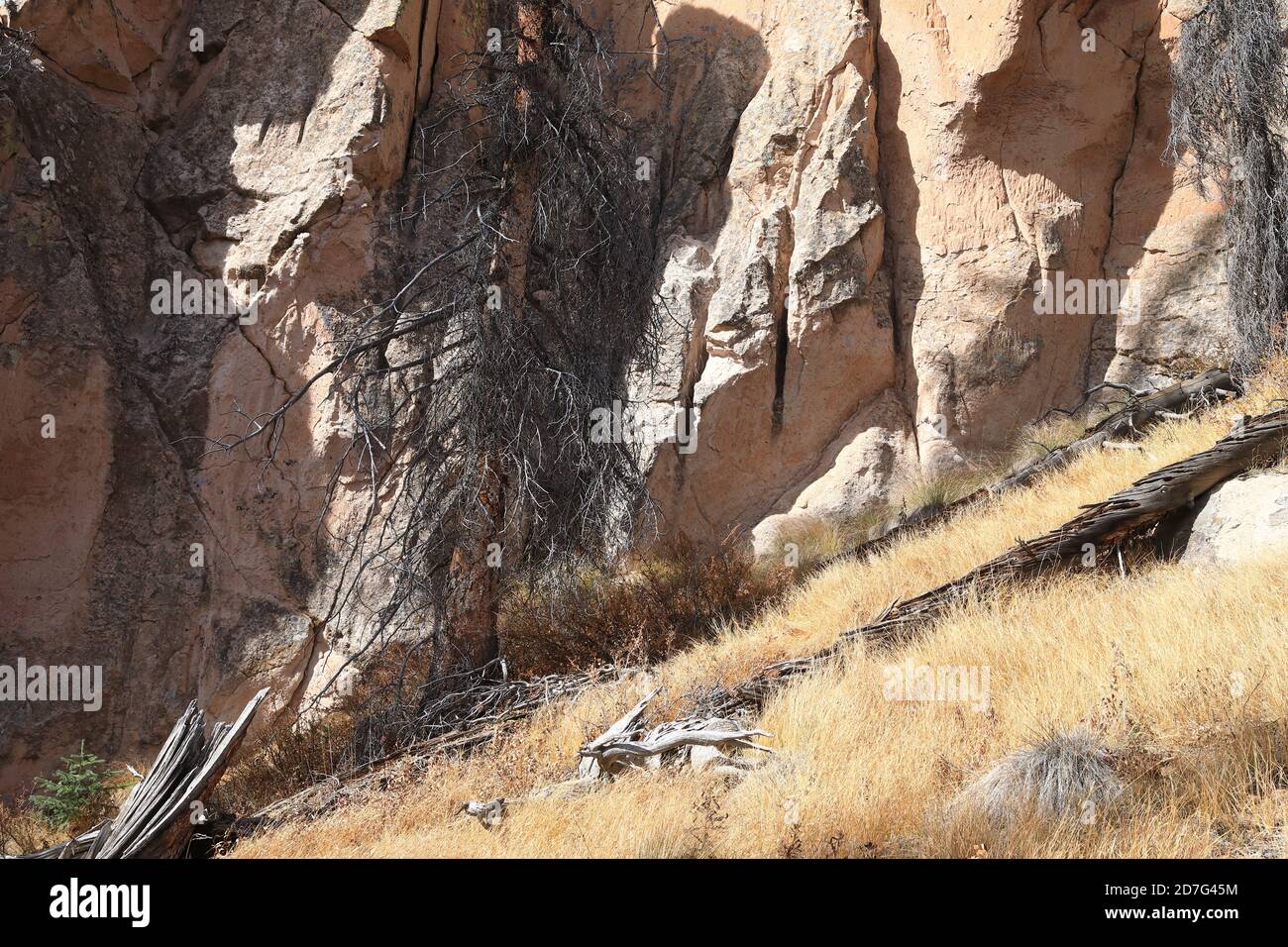 Paredes rocosas de Colorado Montañas Rocosas Foto de stock