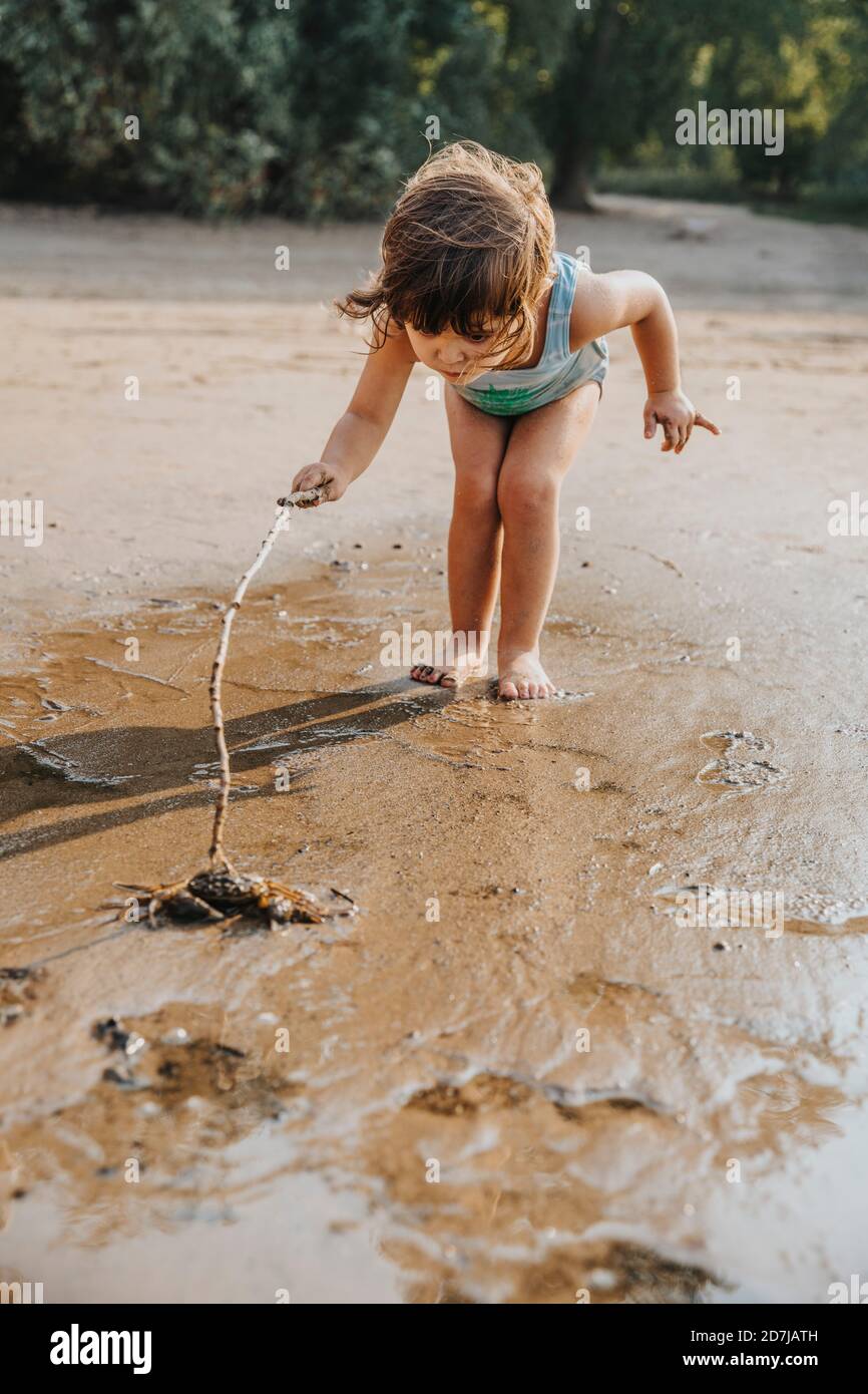 Linda chica pequeña descubriendo cangrejos en la playa Foto de stock