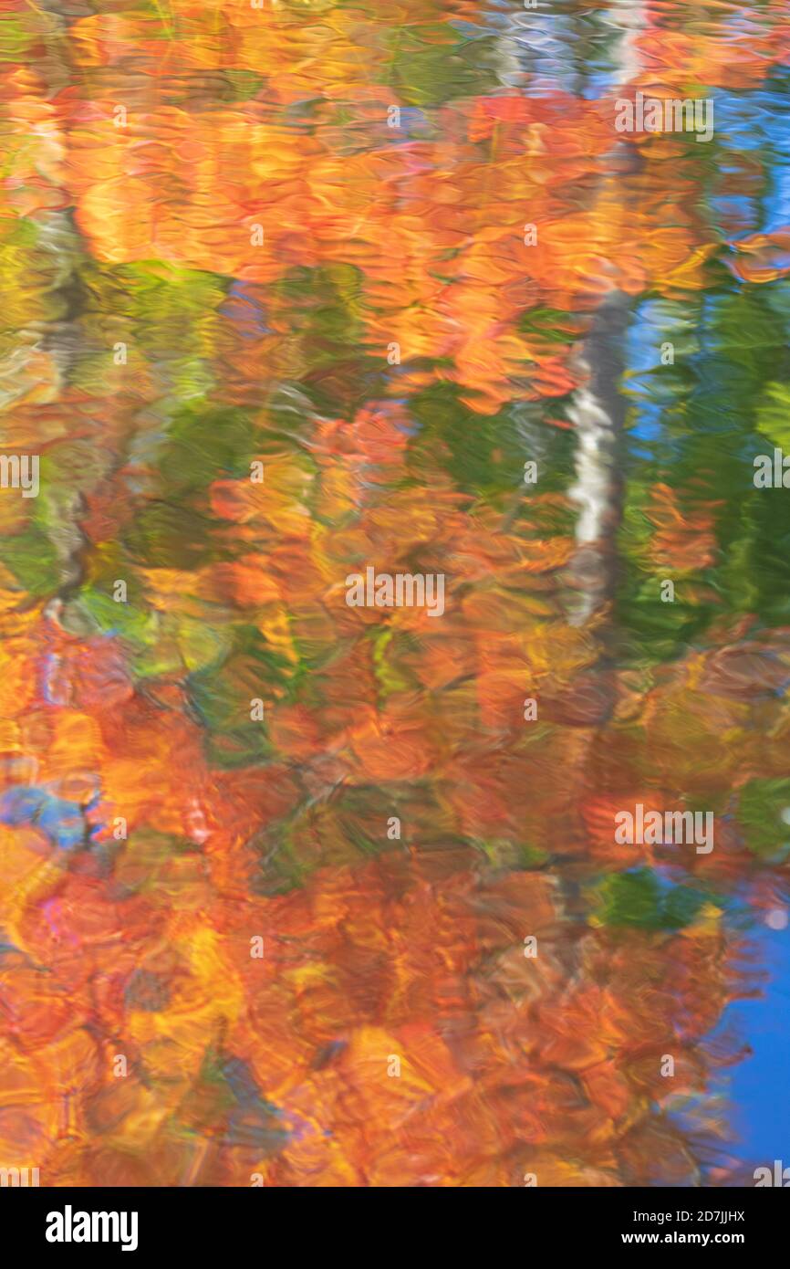Los colores del otoño se reflejan en un cuerpo de agua en el norte de Wisconsin. Foto de stock