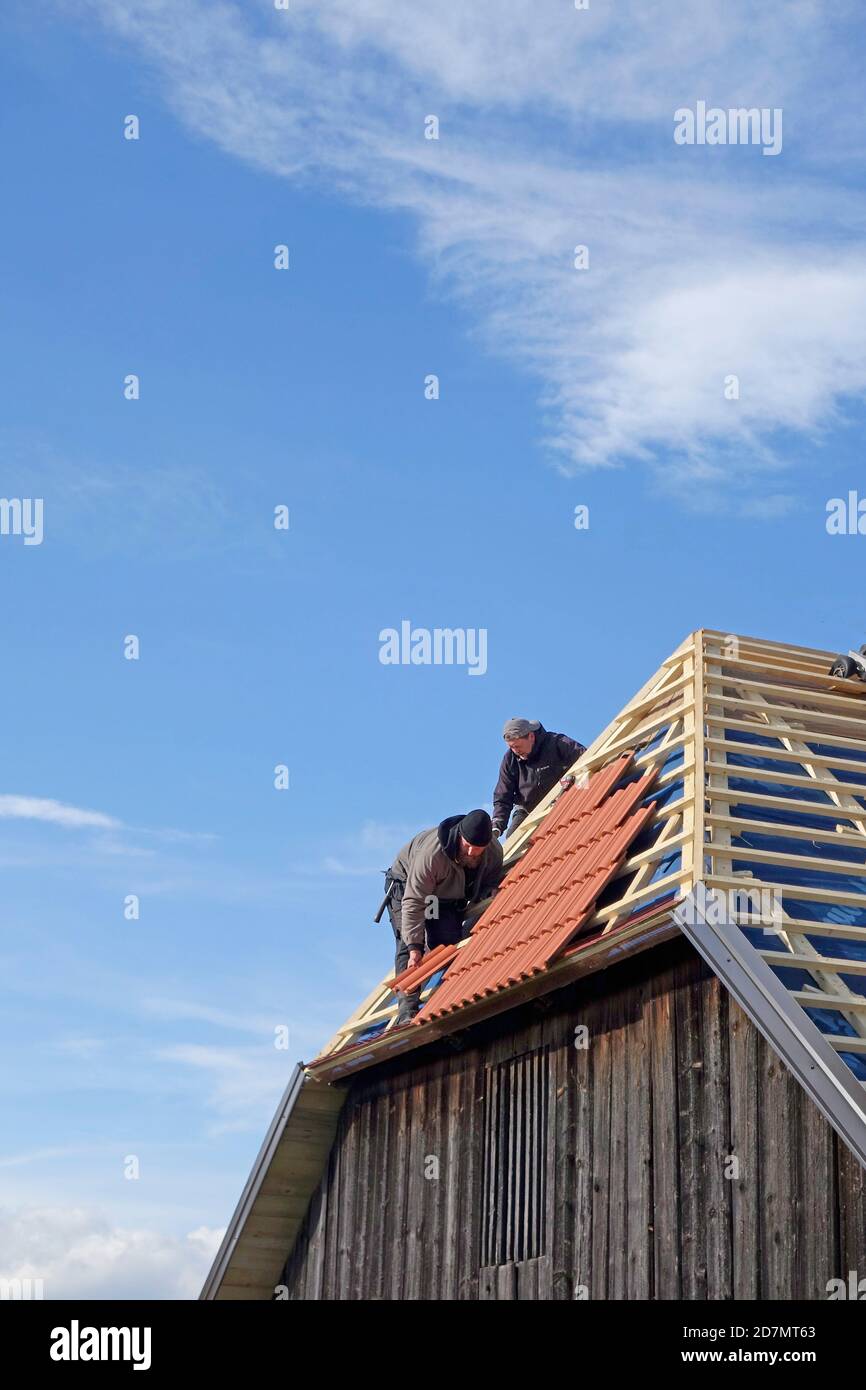 Contratistas de techo en el trabajo reapilando el techo en el granero Foto de stock