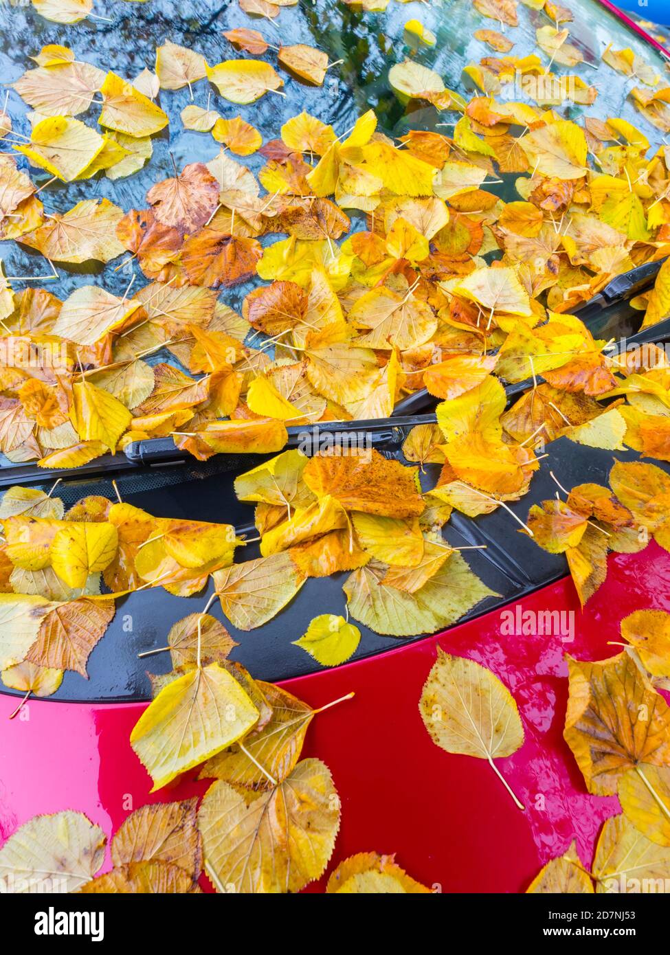 Hojas caídas en la cima Red vehículo estacionado Autumnal Otoño Temporada de otoño Foto de stock