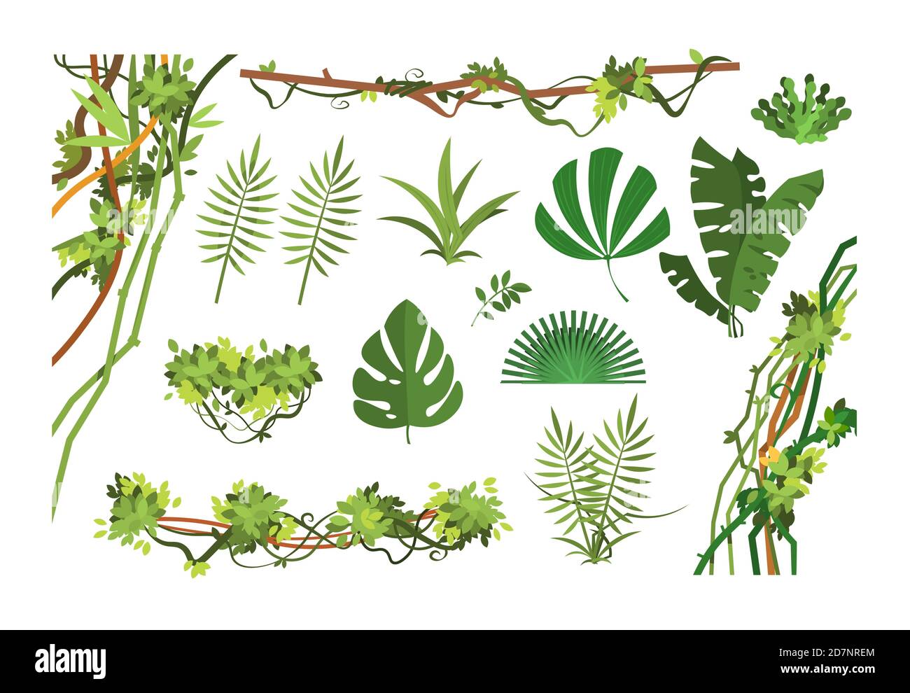 La vid de la selva. Dibujos animados hojas de selva tropical y lianas  plantas de crecimiento excesivo. Conjunto vectorial aislado de plantas  exóticas de la selva, hoja de palma y la rama