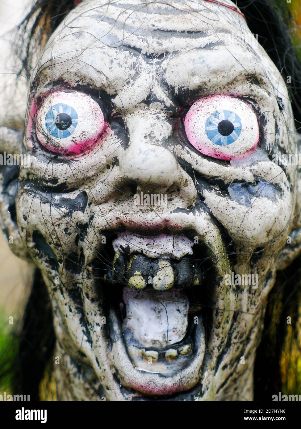 Cabeza de piedra demoníaca. Ojos abultados y dientes rotantes. Imagen de Halloween Foto de stock