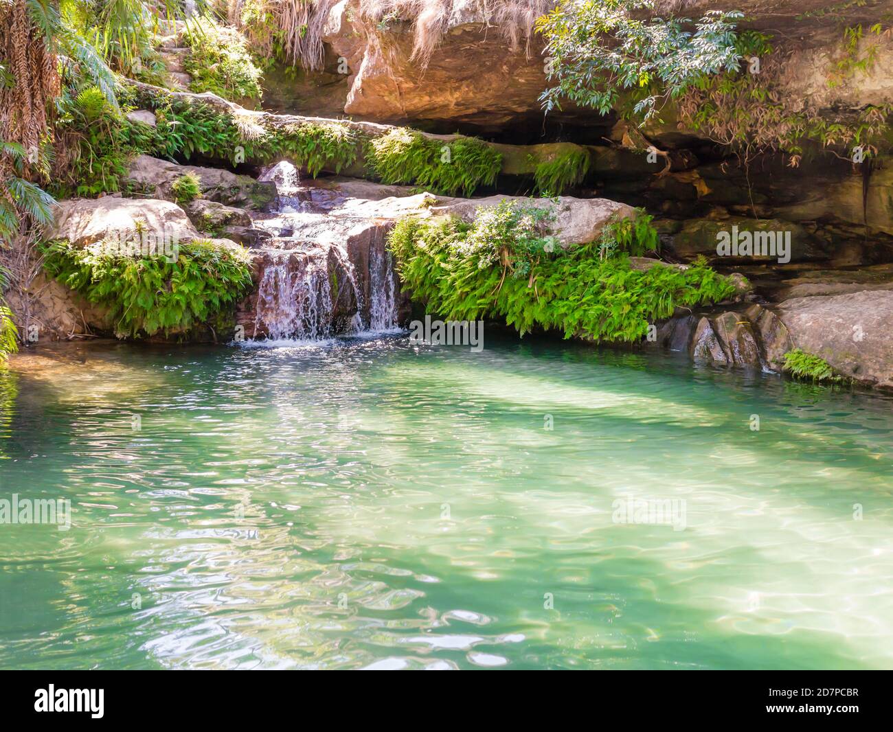 Impresionante oasis llamado 'la piscine naturelle', una piscina rodeada de palmeras, alimentada constantemente por una cascada cristalina, el Parque Nacional de Isalo, Madagascar Foto de stock