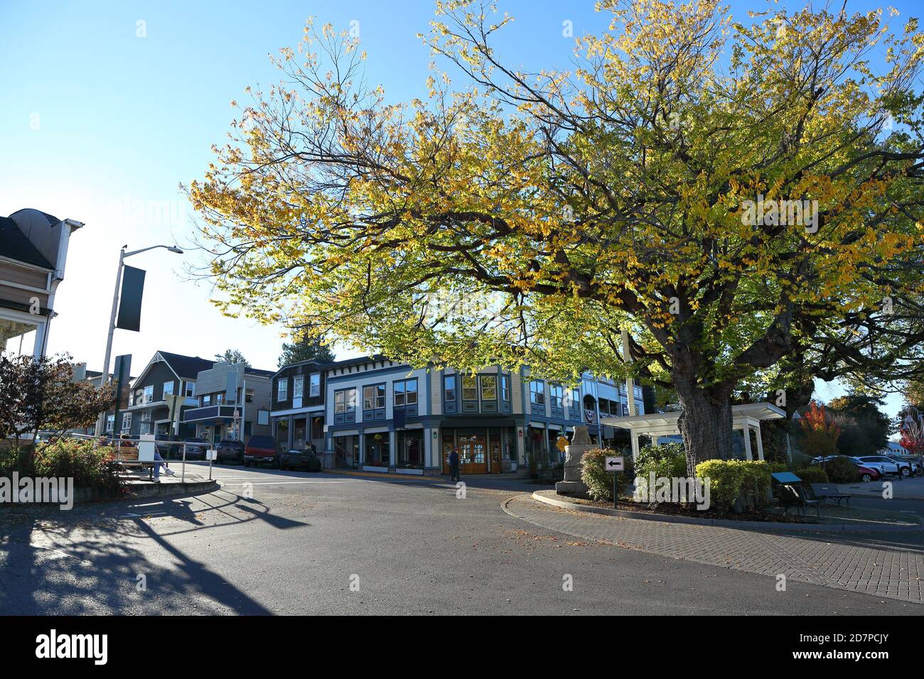 La ciudad de Friday Harbor en la isla de San Juan, Washington Foto de stock