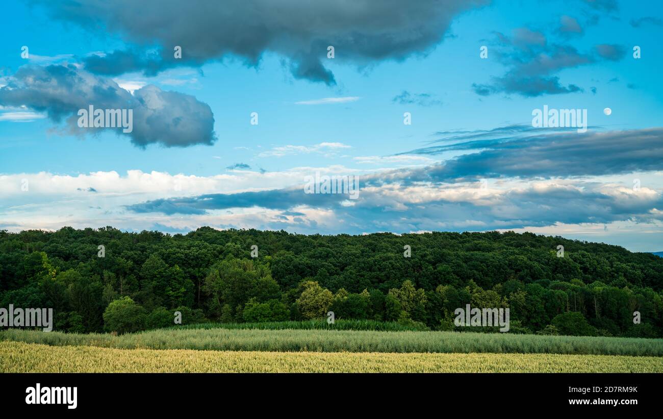 Alemania, Stuttgart, las nubes de colores de humor y luna de afterglow sobre los campos maduros y el paisaje verde de la naturaleza del bosque en verano Foto de stock