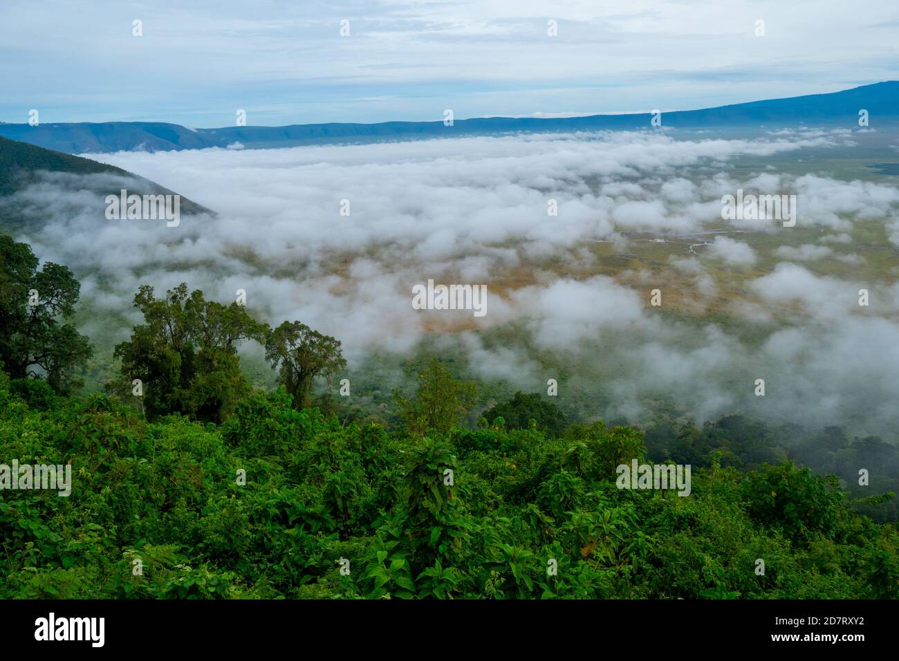 El Área de Conservación de Ngorongoro, es un área protegida y Patrimonio de la Humanidad ubicada a 180 km (110 mi) al oeste de Arusha, en la zona de Crater Highlands de tan Foto de stock