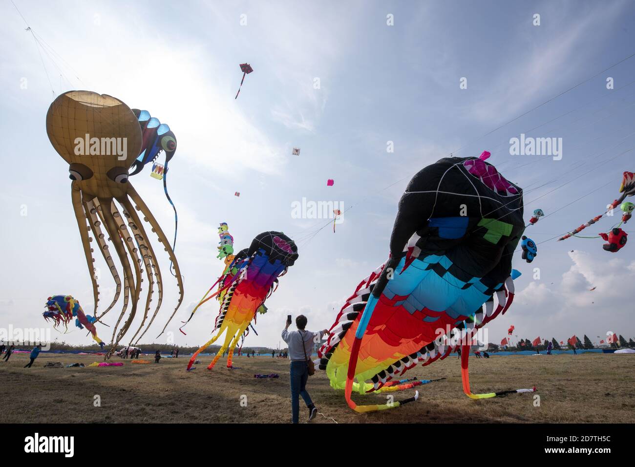 Nantong, Nantong, China. 25 de octubre de 2020. JiangsuÃ¯Â¼Å'Foto tomada el 17 de octubre de 2020 muestra la apertura del Torneo Nacional de Citas de 2020 y la Copa de Turismo Xiaoyangkou de la 21 Asociación Rudong Kite de China en la base Aérea Xiaoyangkou Kite en Rudong, Provincia Jiangsu de China. Este festival de cometas está patrocinado por la Asociación China Kite, Organizado por la Asociación Jiangsu Kite, la Oficina de Deportes de Nantong, el gobierno popular del condado de Rudong, y co-organizado por Jiangsu Rudong Xiaoyangkou Tourism Resort. Más de 300 concursantes de 32 equipos de todo el país participaron en la Foto de stock