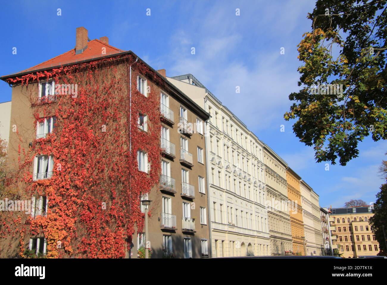 Wohnhäuser werden von der Herbstsonne in der Diedenhofer Straße, Berlín Prenzlauer-Berg, angestrahlt. Parque am Wasserturm. Foto de stock