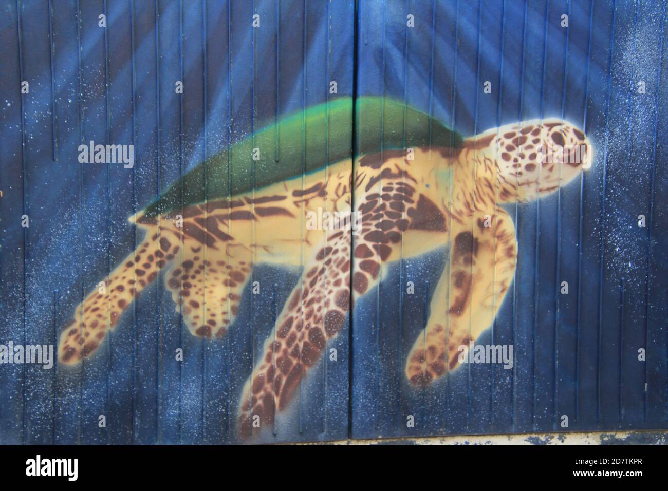Streetart, Graffiti auf einem Stromkasten am Straßenrand, der Künstler Hat den Kasten mit einer Meeres-Schildkröte verziert. Foto de stock