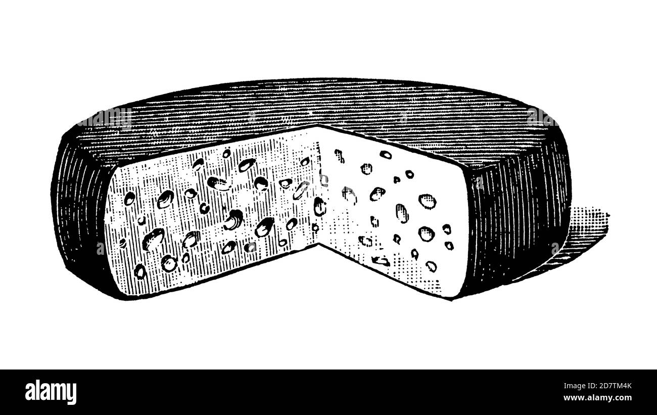 Ilustración antigua de queso Foto de stock