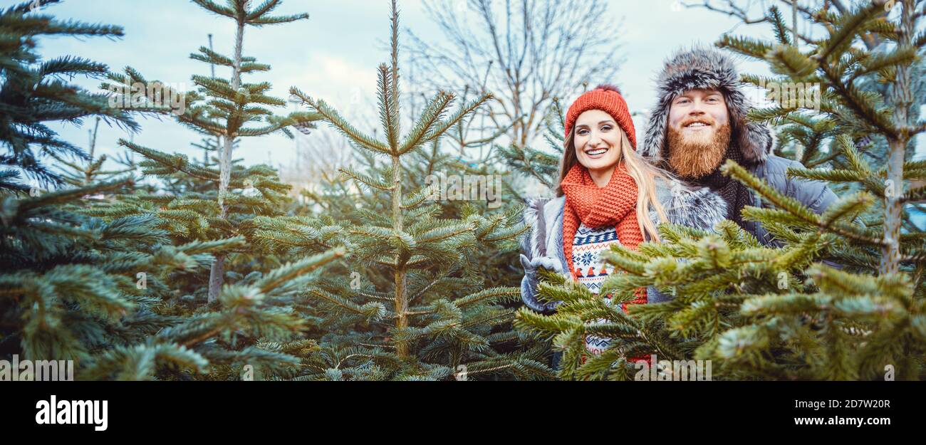 Par divirtiendo en el árbol de Navidad la venta Foto de stock