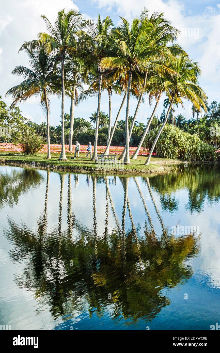 Miami Florida, Coral Gables, Fairchild Tropical Garden, Jardines Botánicos, palmeras reflexión sobre el agua, Foto de stock