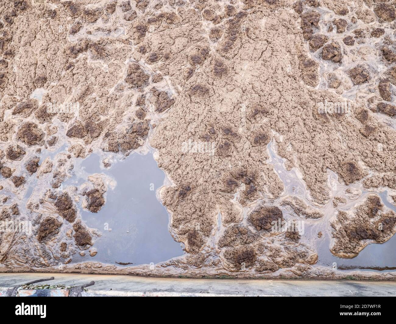 Tratamiento de lodos activados fotografías e imágenes de alta resolución Alamy Tratamiento de lodos activados fotografías e imágenes de alta resolución Alamy