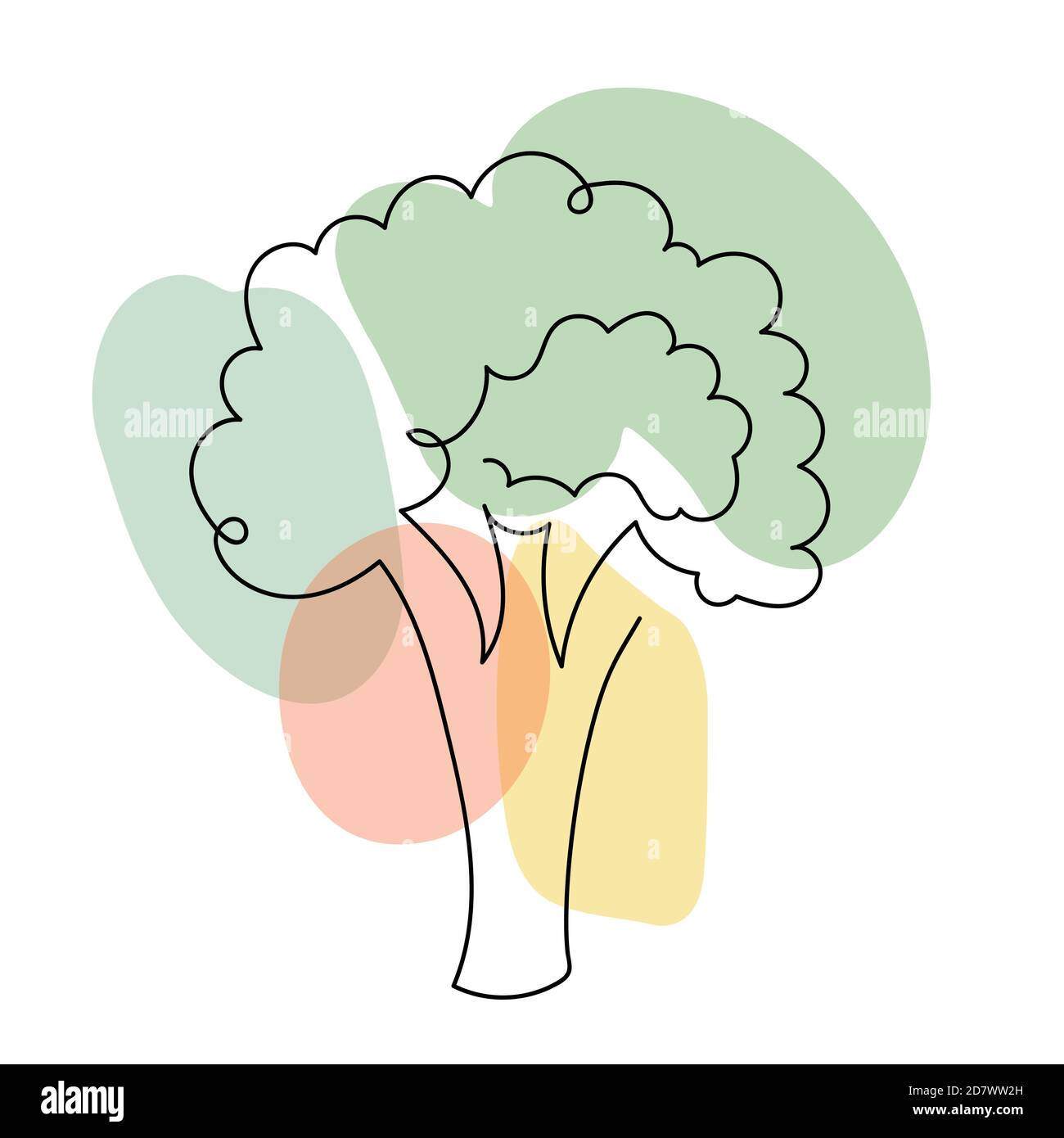 Brócoli en un estilo lineal dibujado a mano. Ilustración del Vector