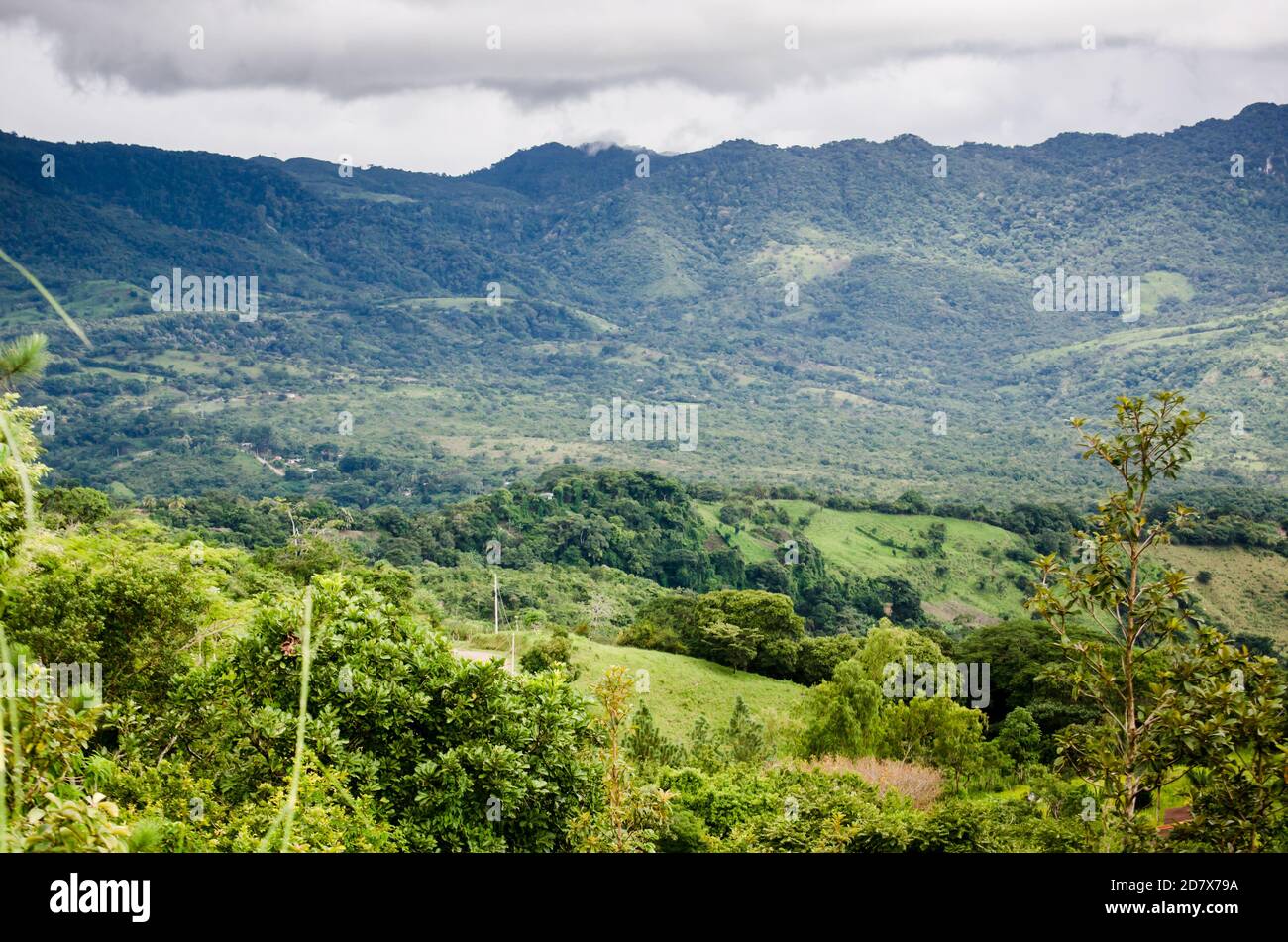 La sierra del Parque Nacional Altos de Campana, vista desde Sora en el centro de Panamá Foto de stock