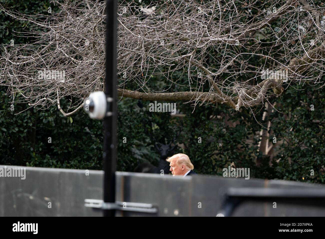 El presidente estadounidense Donald Trump cruza el South Lawn de la Casa Blanca mientras aborda Marine One en Washington, D.C., EE.UU. El jueves 30 de enero de 2020. Crédito: Alex Edelman/The Photo Access Foto de stock