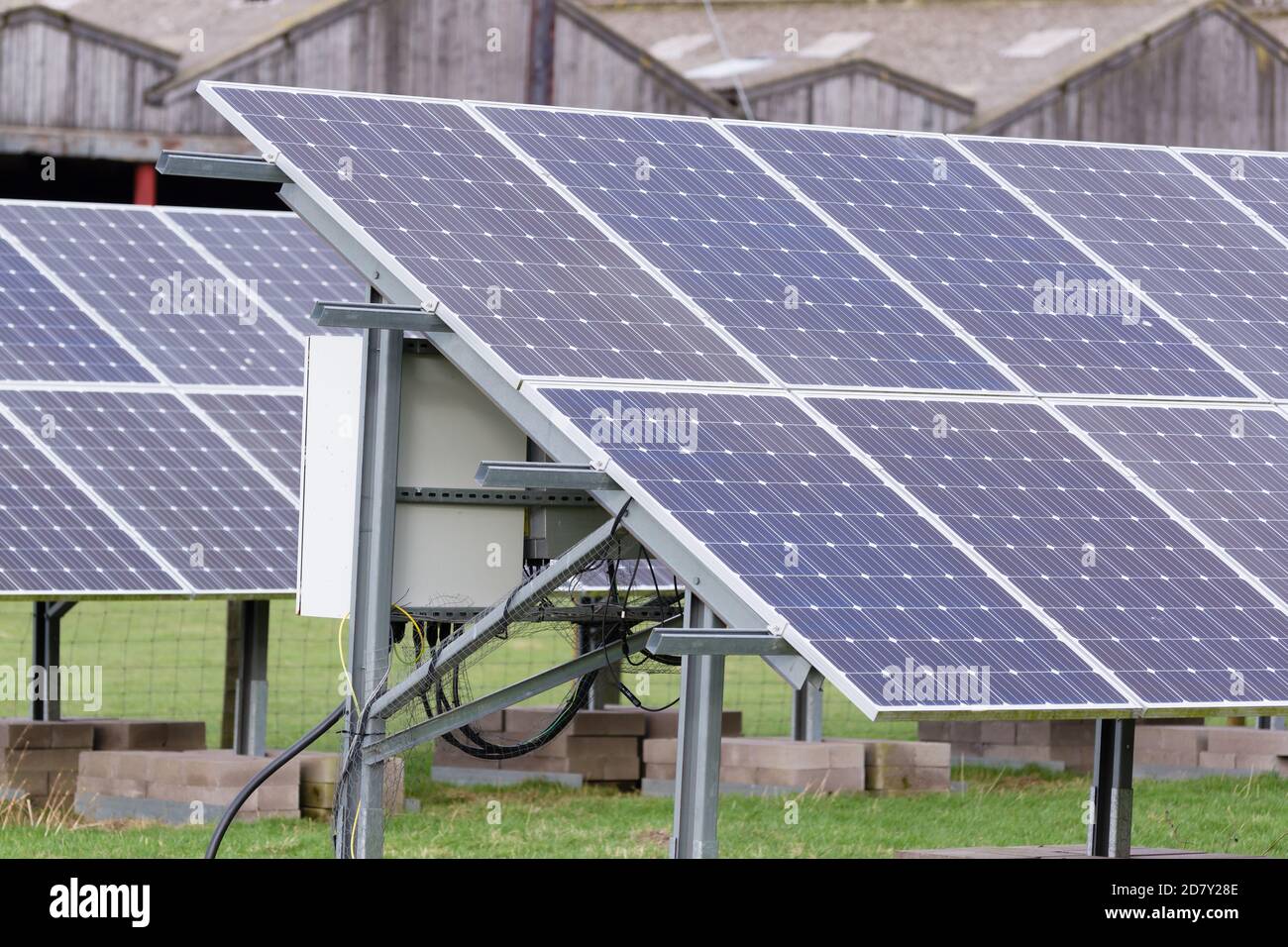 Paneles solares en una granja ganadera que proporciona energía limpia y sostenible y la reducción de las emisiones en la agricultura Foto de stock