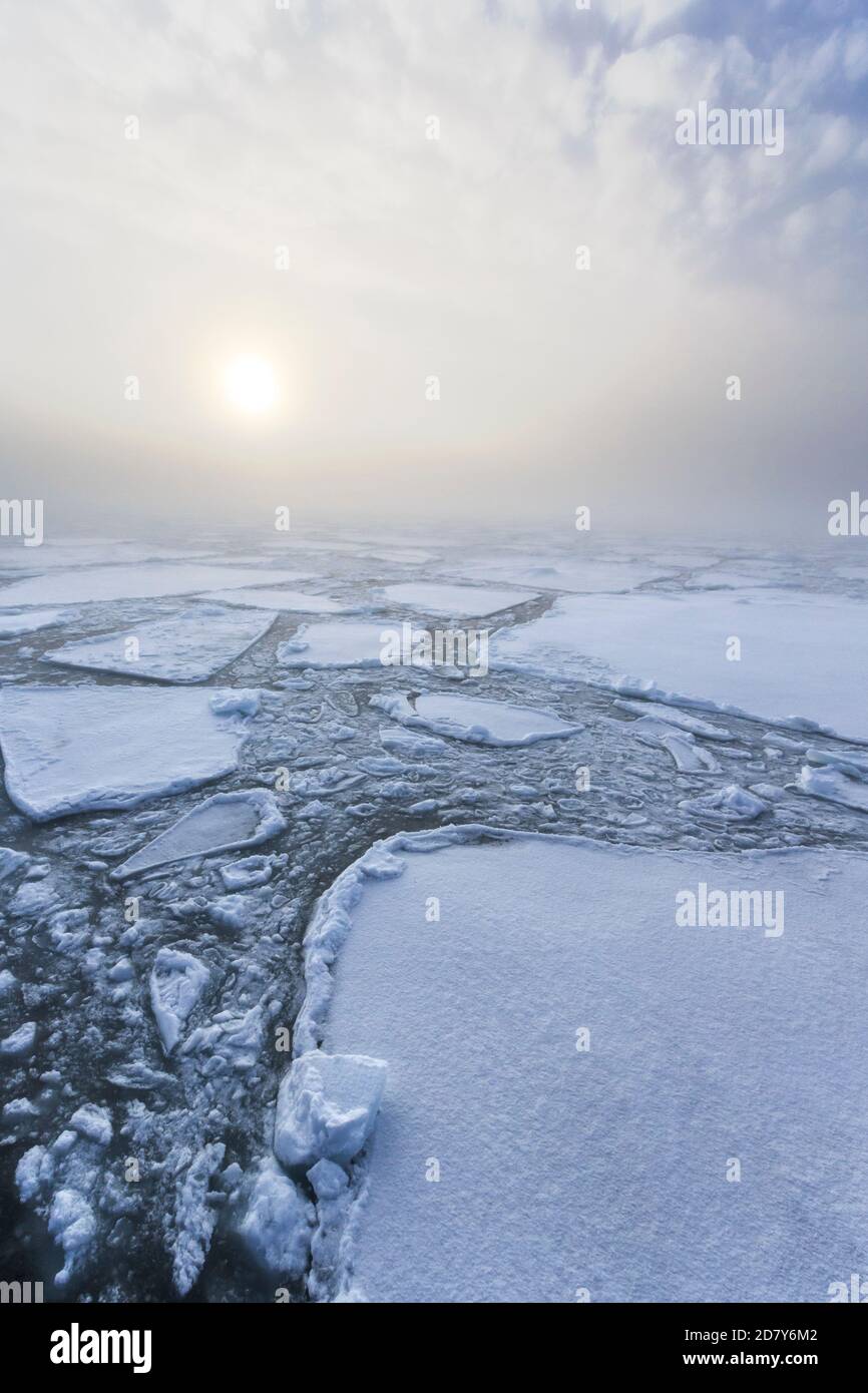 Pack-hielo flotando en el océano Ártico. El sol brilla a través de la niebla. Entre la rotura del hielo está el agua. 83 grados, círculo ártico, Polo Norte. Foto de stock