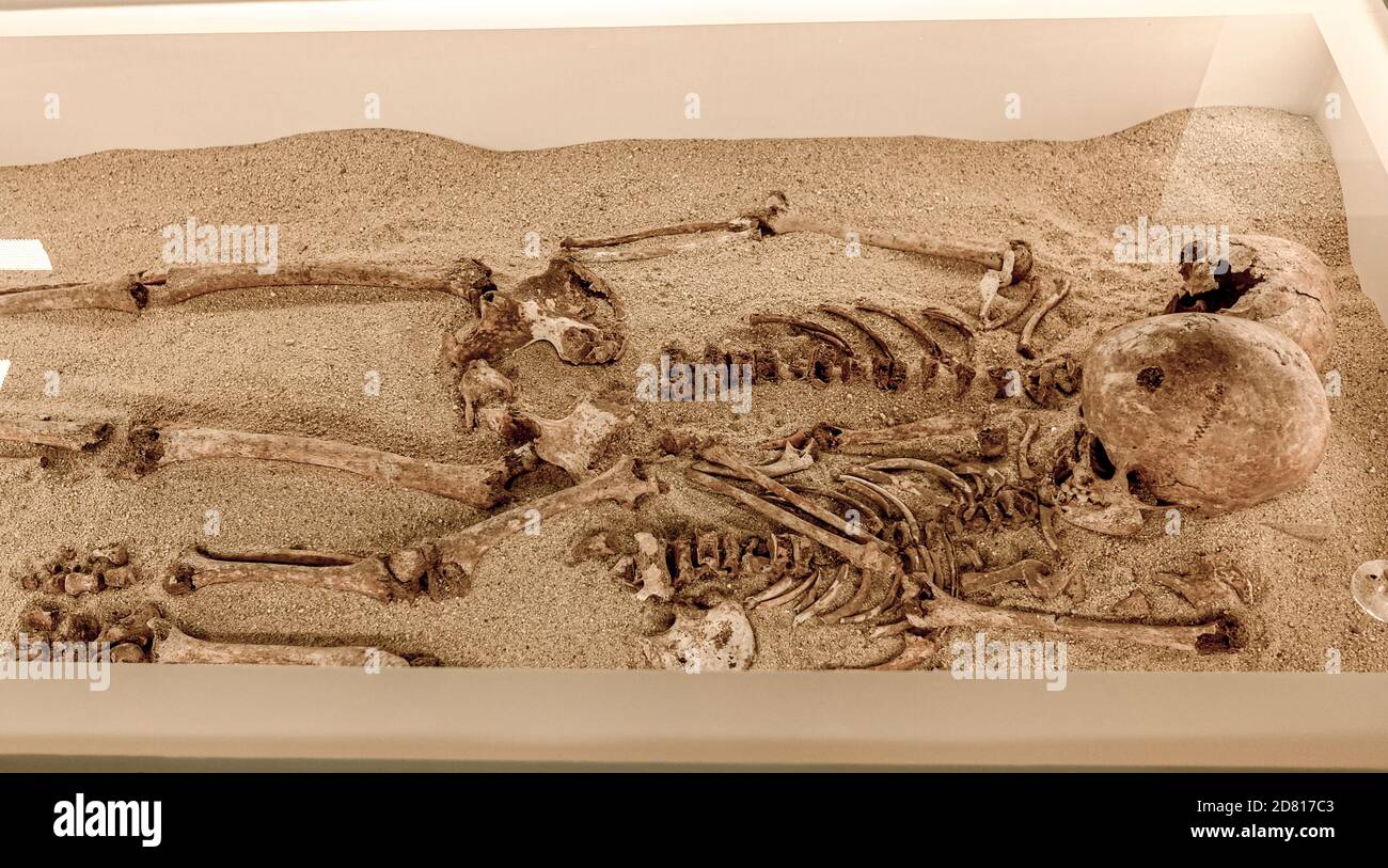 Italia Calabria - Reggio calabria - Museo Arqueológico Nacional - Esqueleto del Hombre primitivo Foto de stock