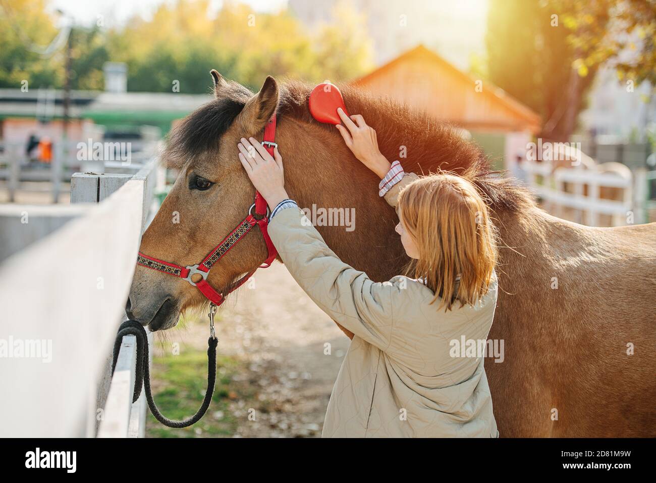 Cepillando mane, niña de jengibre se encarga de su caballo triste. Foto de stock