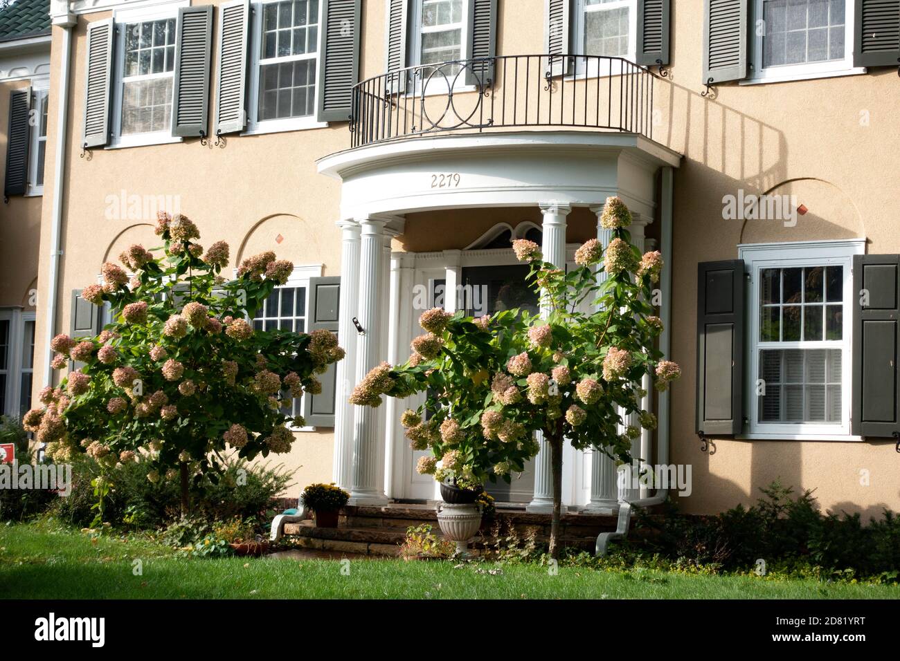 Entrada de la casa con arbustos de hortensias rosadas. St Paul Minnesota MN EE.UU Foto de stock