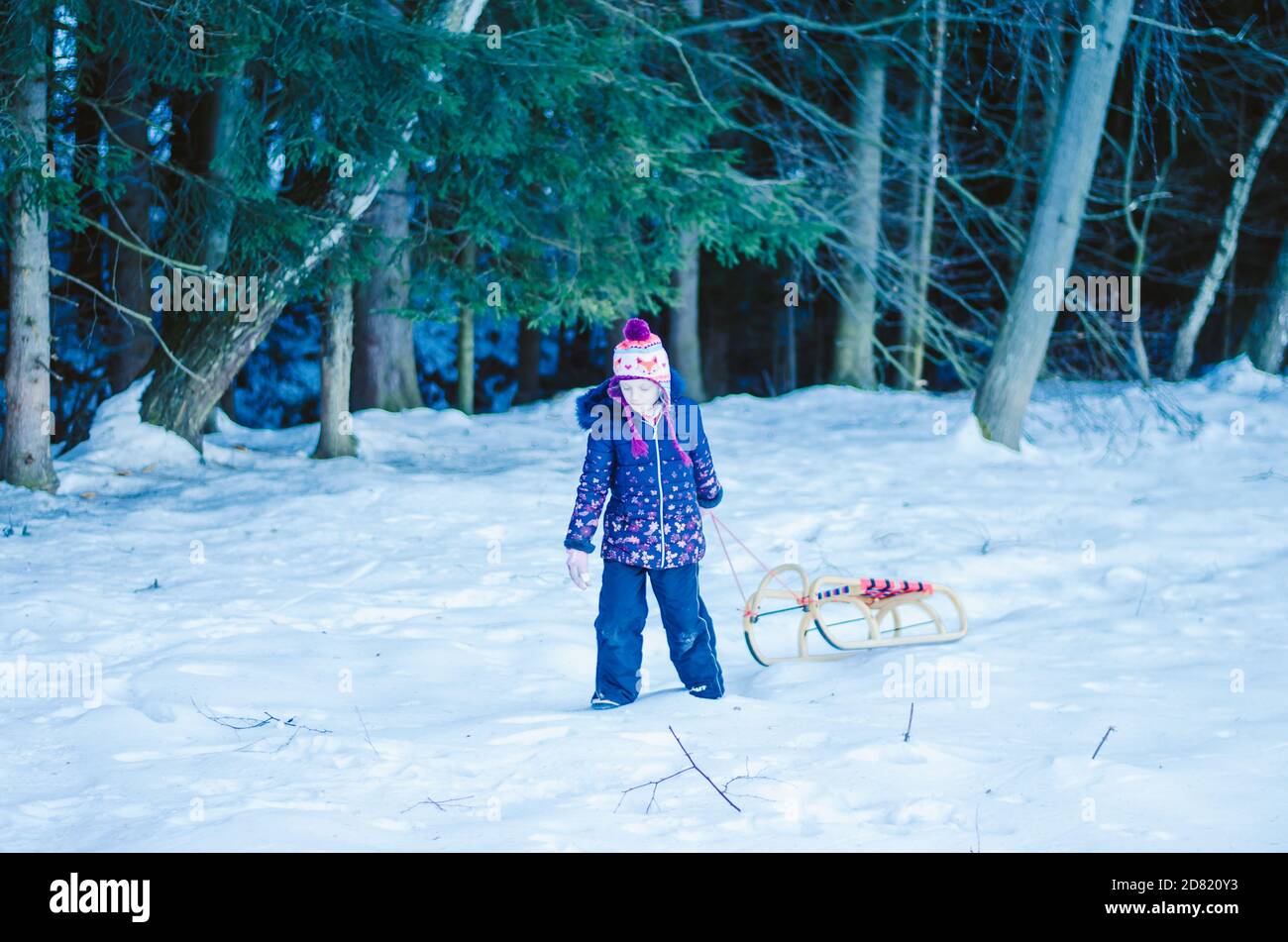 una niña pequeña y encantadora caminando con trineos en el bosque de invierno Foto de stock
